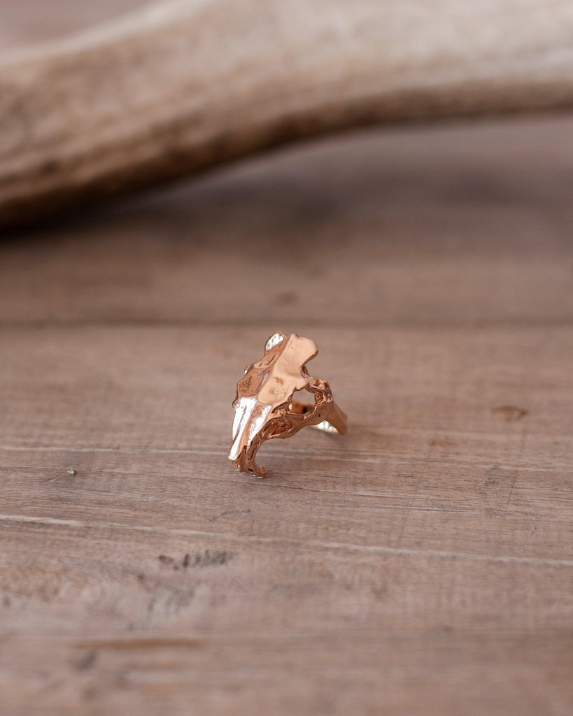 14k Rose Gold Coypu Skull Ring with Rubies - Crossbow