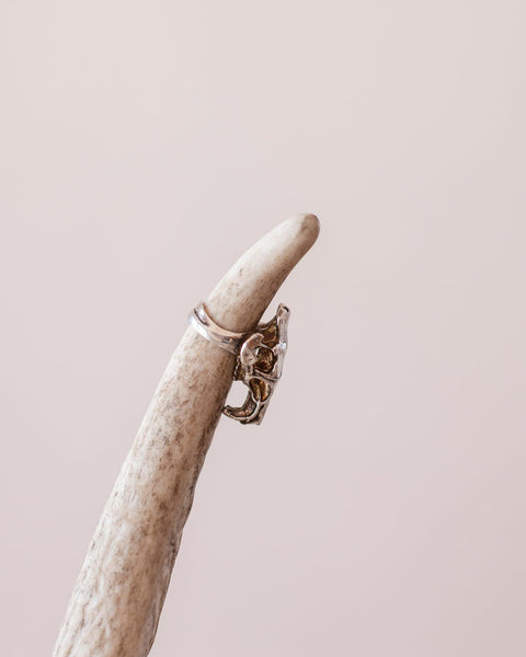 Sterling Silver Coypu Skull Ring with Black Diamonds - Crossbow