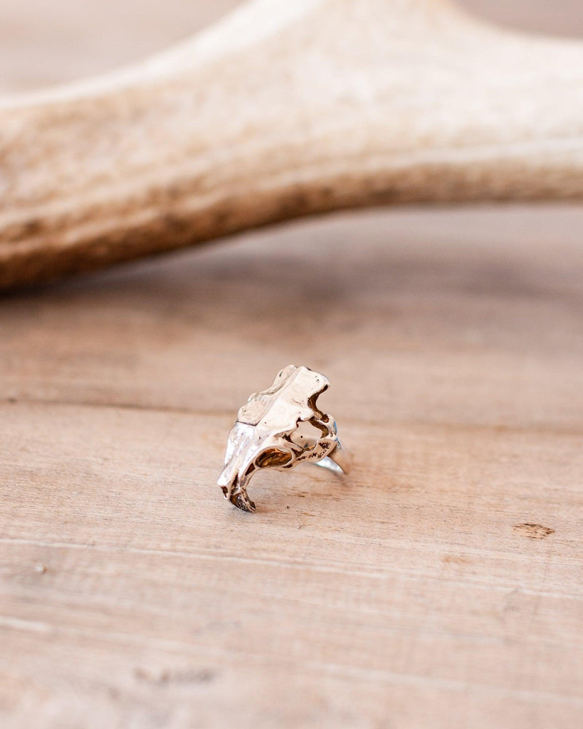 Sterling Silver Coypu Skull Ring with Black Diamonds - Crossbow